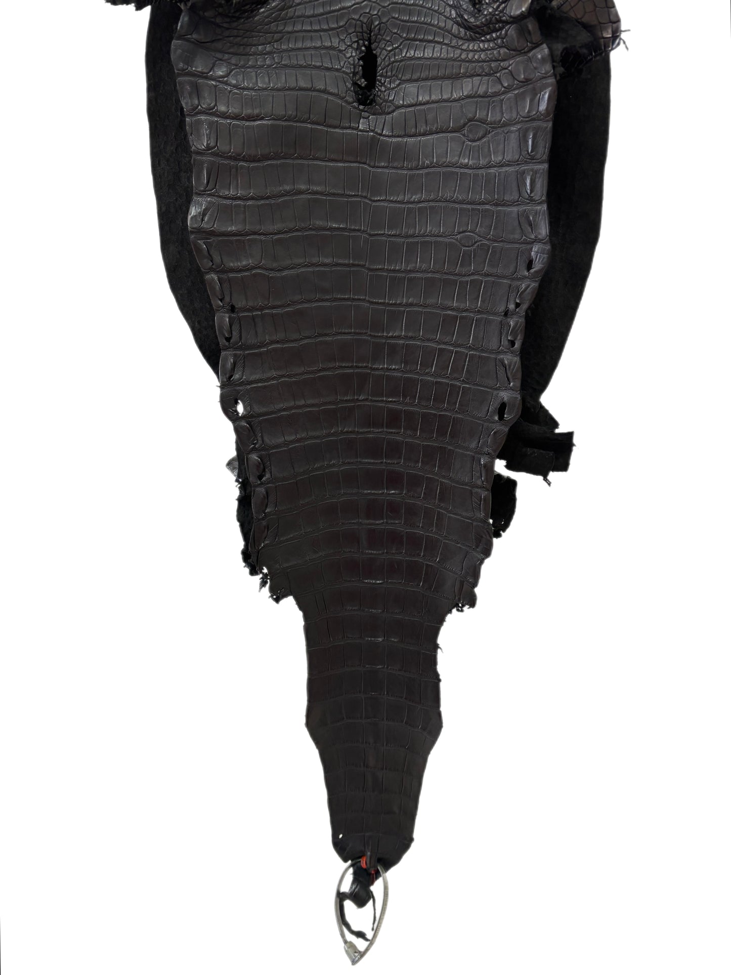 34 cm Grade 2/3 Black Matte Farm-Raised American Alligator Leather - Tag: LA23-0531600