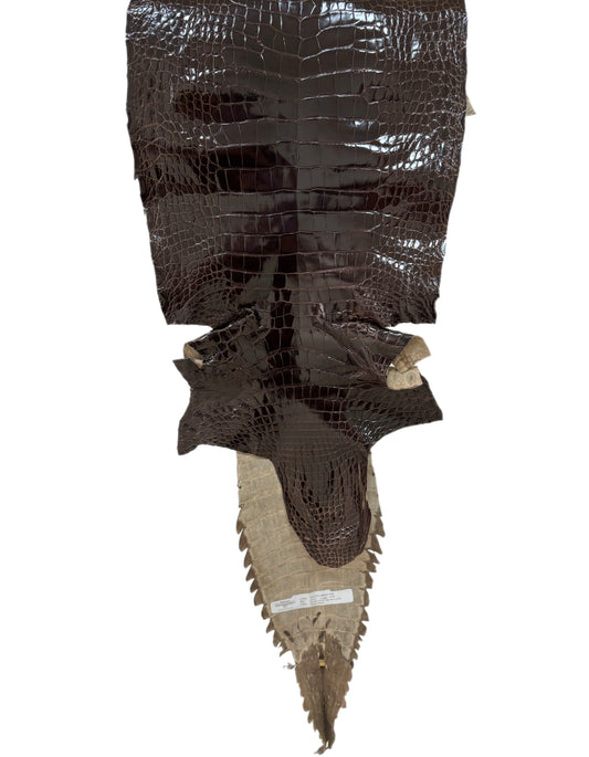 29 cm Grade 2/3 Sport Rust Brown Classic Wild American Alligator Leather - Tag: FL09-0027719