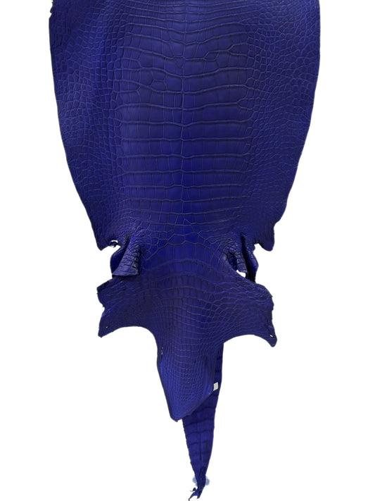44 cm Grade 2/3 Cobalt Blue Matte Wild American Alligator Leather - Tag: LA23-0010038