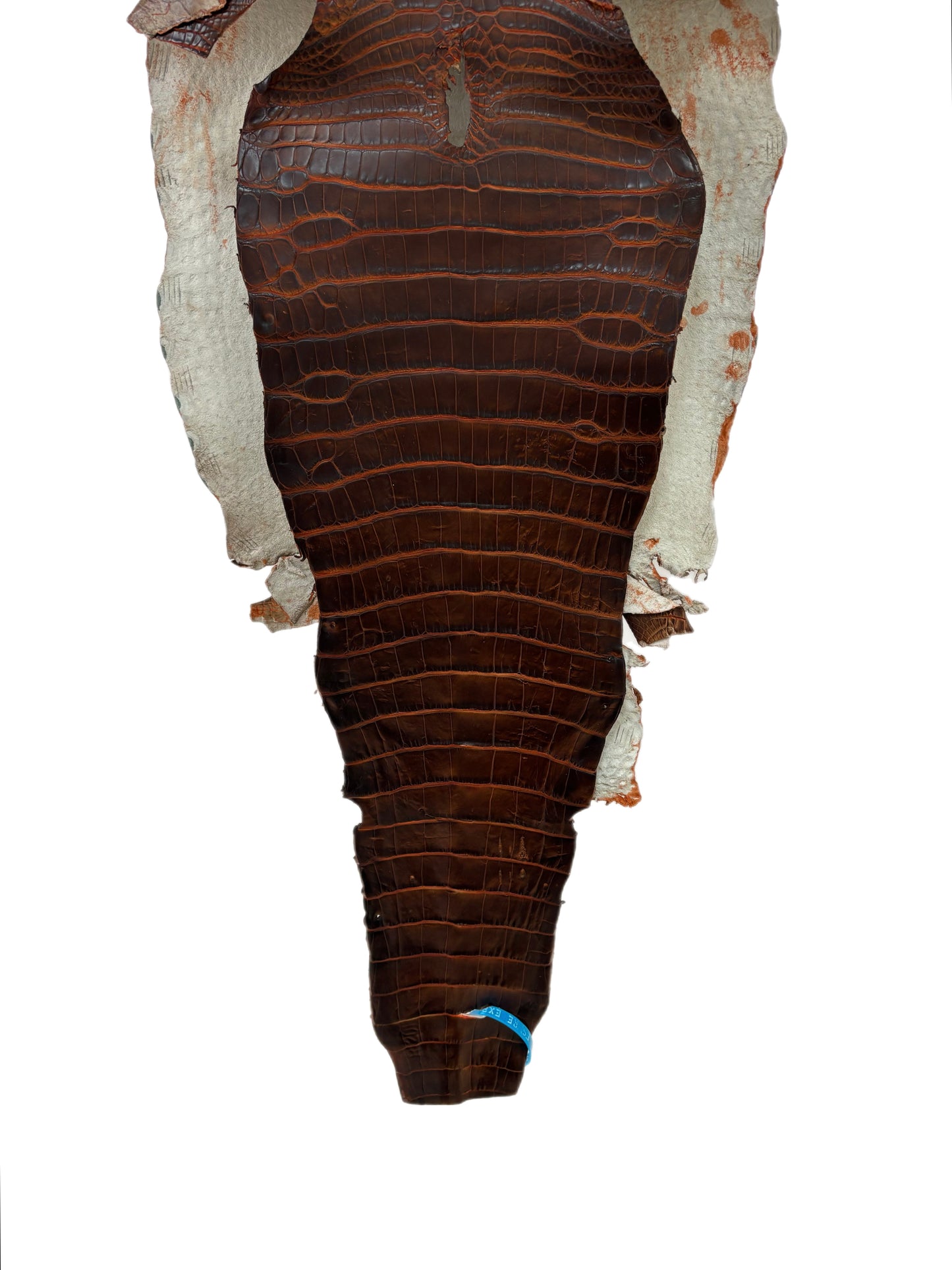 35 cm Grade 1/2 Sienna Matte Wild American Alligator Leather - Tag: ESRE-0050789