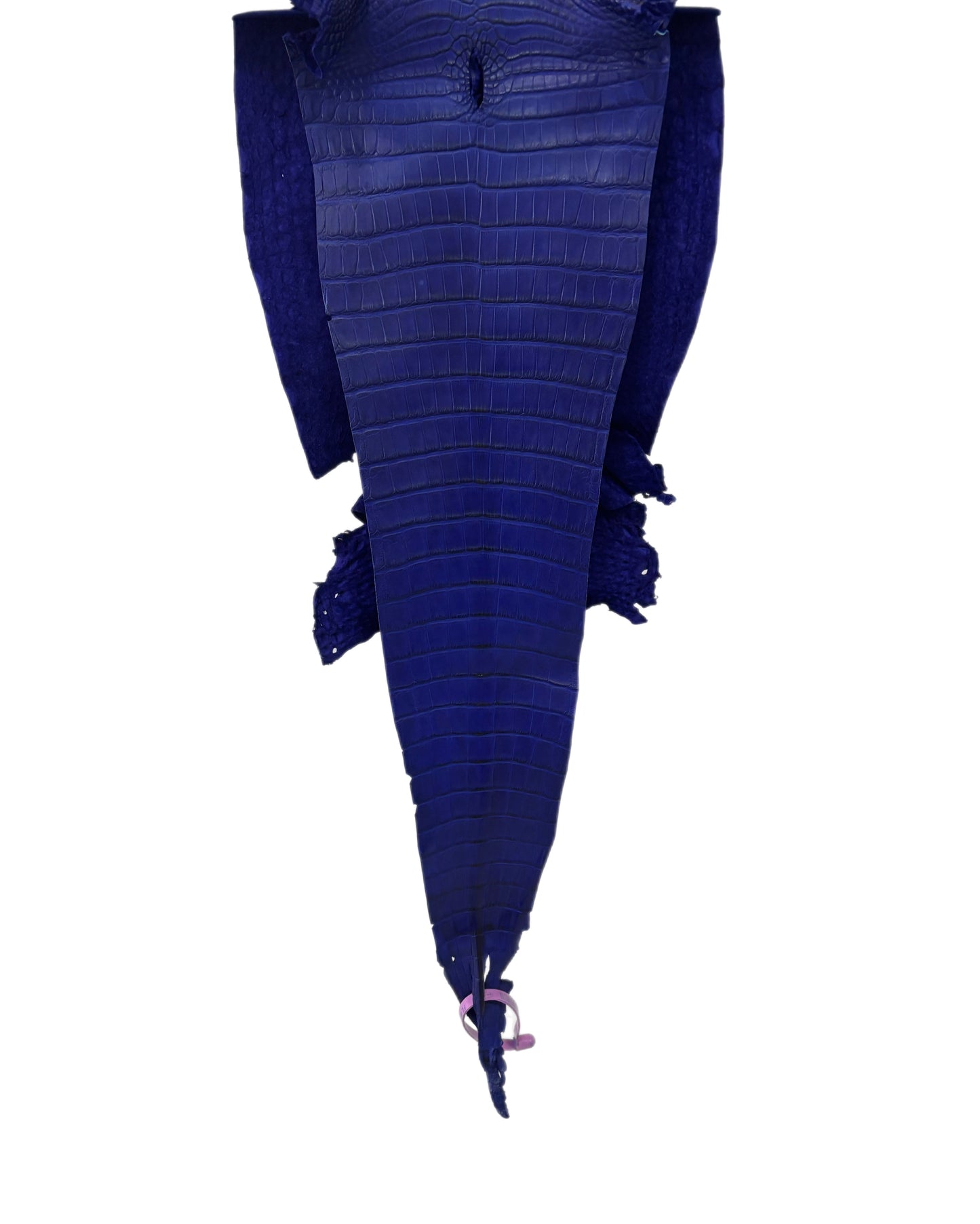 26 cm Grade 3/4 Cobalt Blue Matte Farm-Raised American Alligator Leather - Tag: FL21-0024620