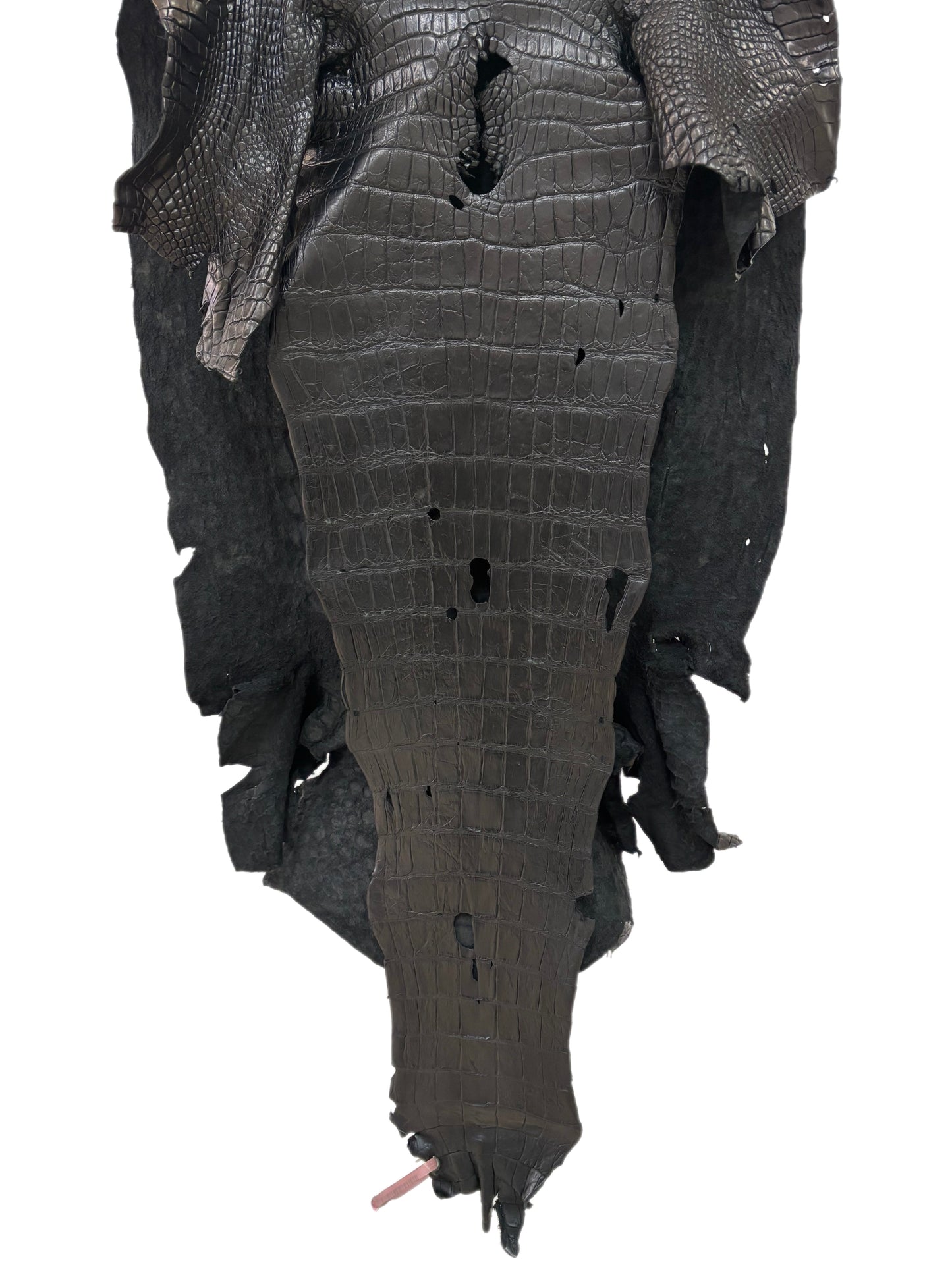59 cm Grade 4/5 Black Matte Wild American Alligator Leather - Tag: FL24-0075278