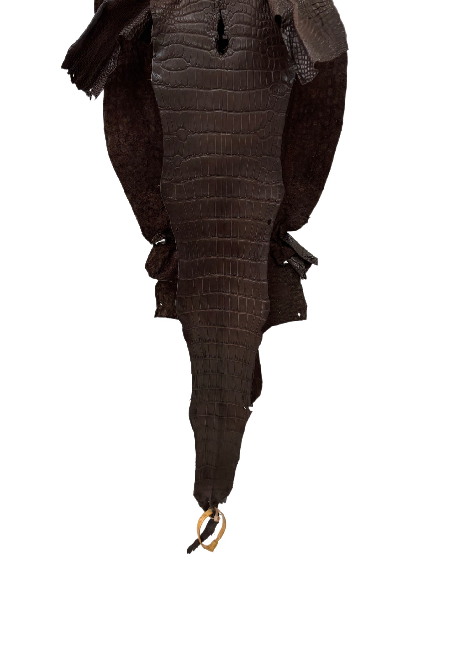 28 cm Grade 2/3 Chocolate Matte Wild American Alligator Leather - Tag: LA23-0027053