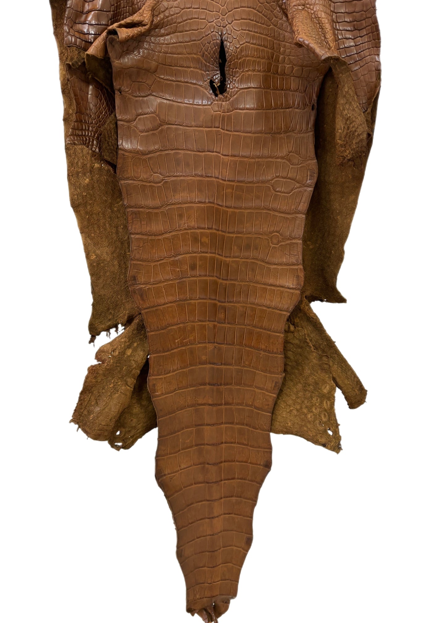 45 cm Grade 2/3 Kango Tabac Matte Wild American Alligator Leather - Tag: LA23-0005911