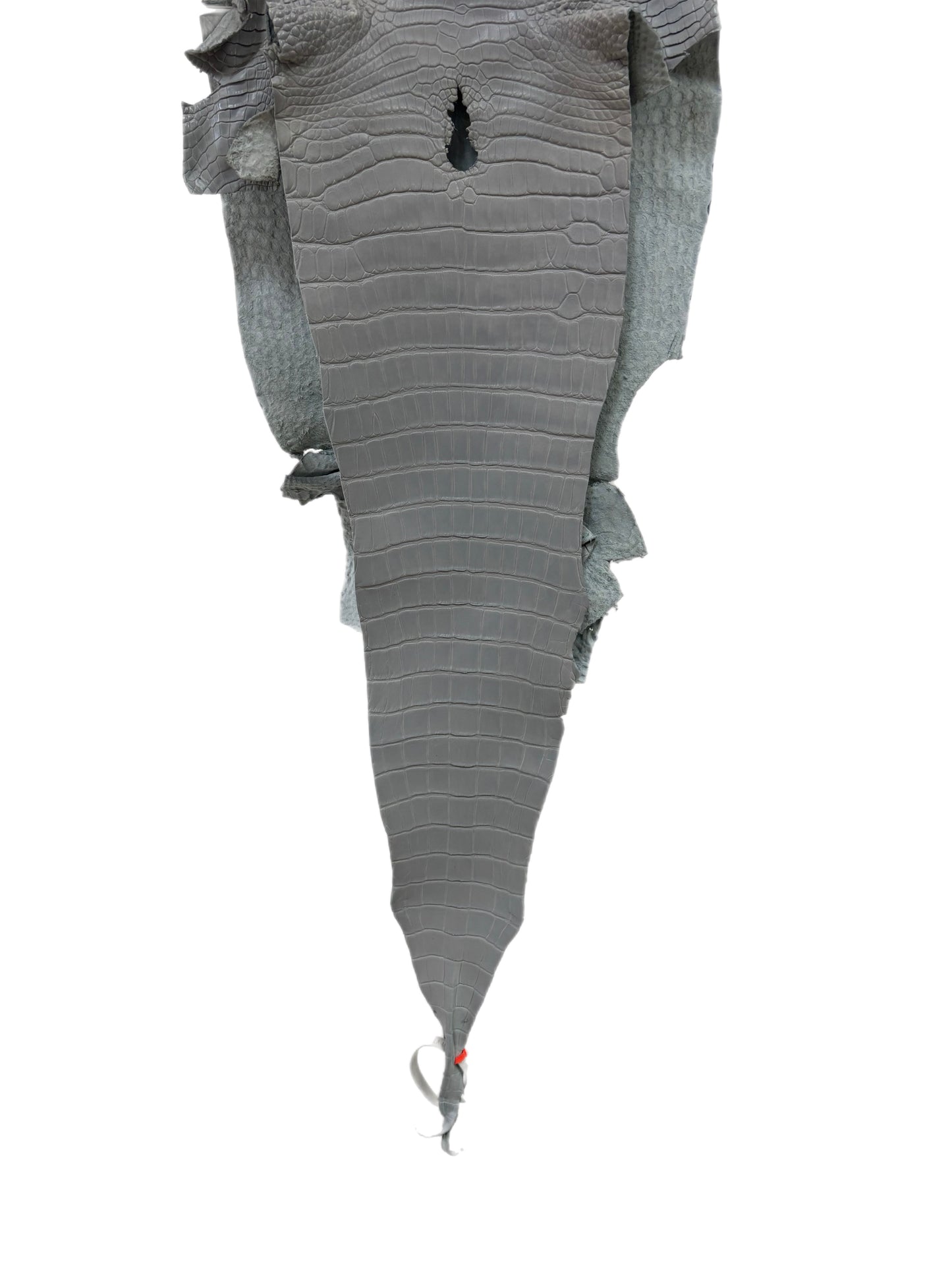 31 cm Grade 1/2 Glacier Matte Farm-Raised American Alligator Leather - Tag: LA23-0531331