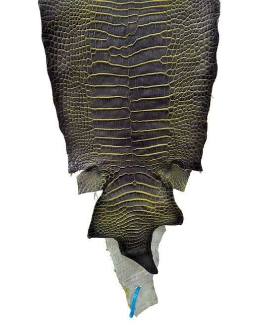 35 cm Grade 2/3 Voltage Matte Wild American Alligator Leather - Tag: ESRE-0050662