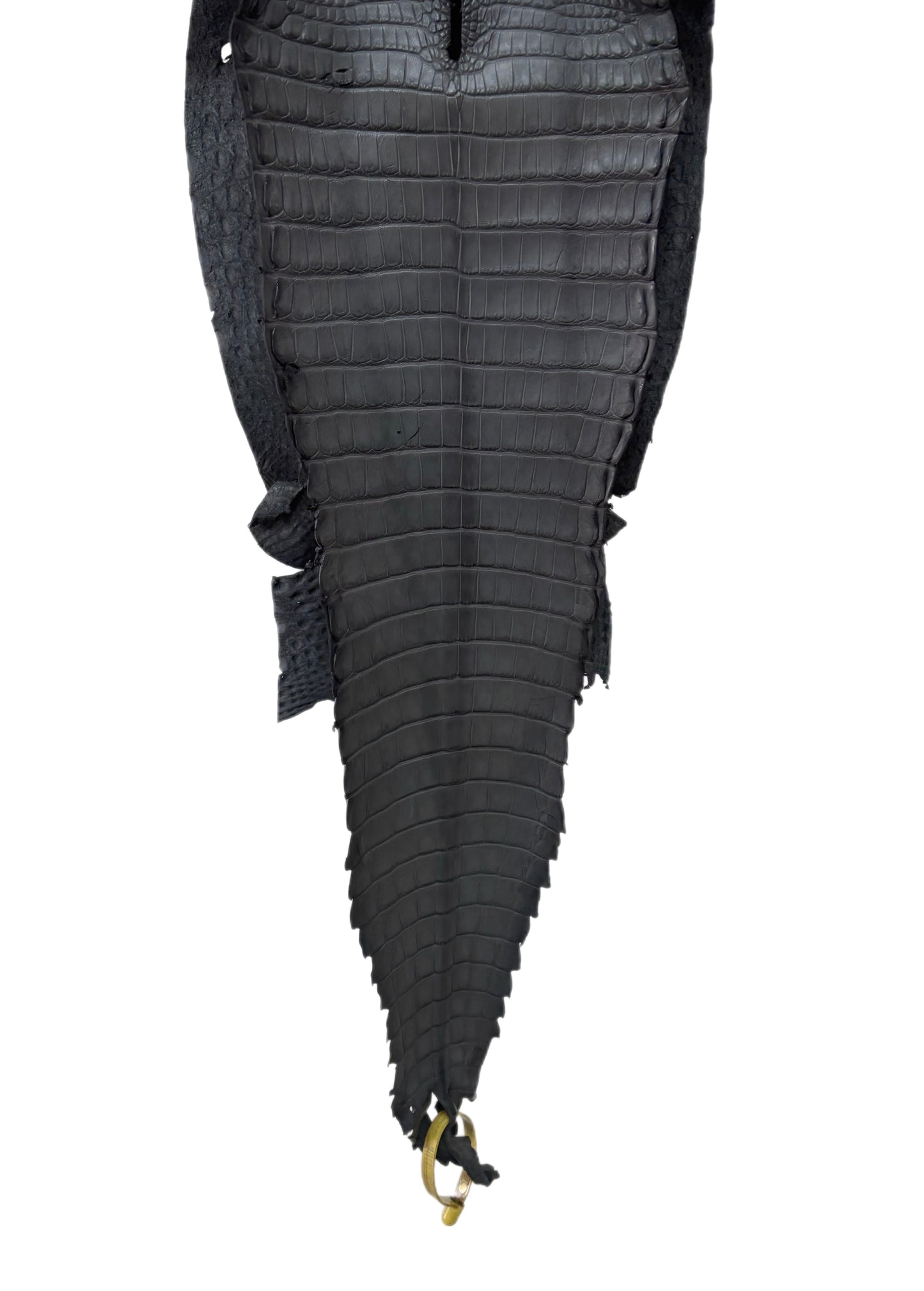 26 cm Grade 1/2 Serpentine Grey Matte Farm-Raised American Alligator Leather - Tag: FL22-0030362