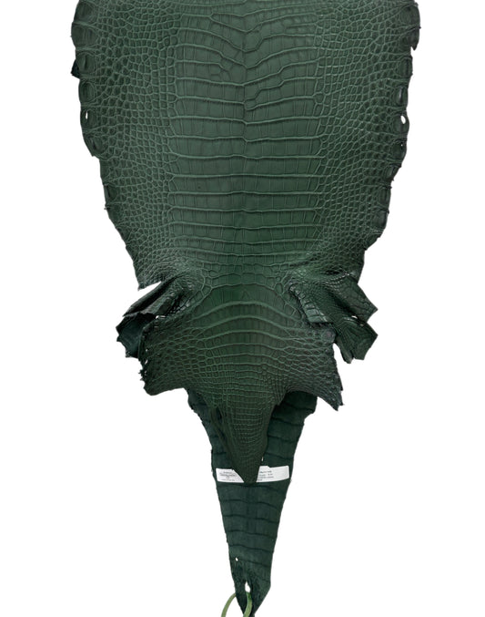 33 cm Grade 2/3 Forest Green Matte Farm- Raised American Alligator Leather - Tag: LA17-0274744