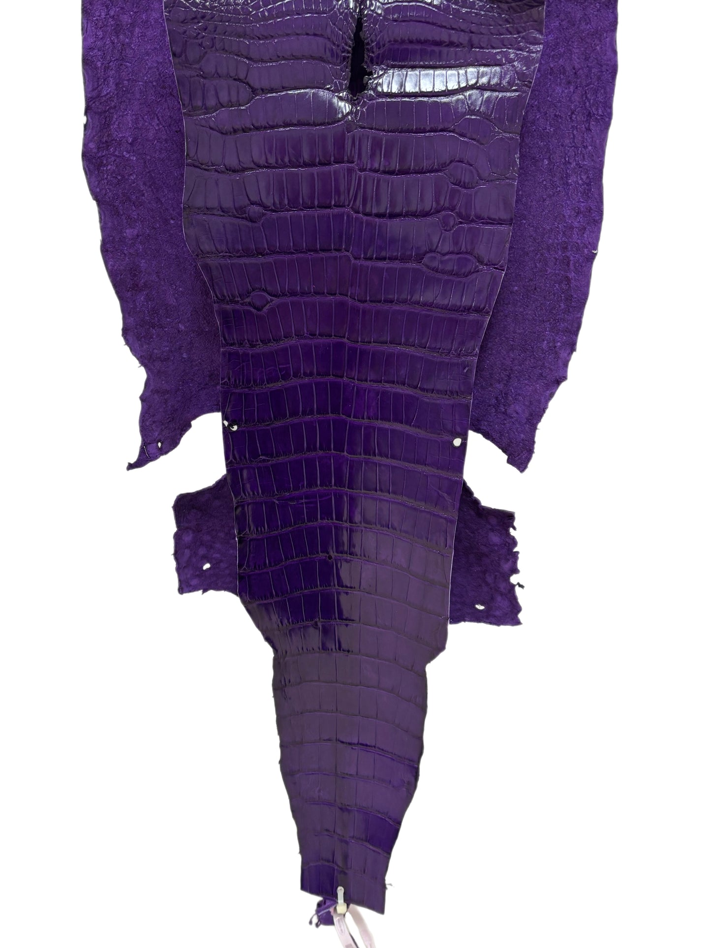 36 cm Grade 2/3 Violet Millennium Wild American Alligator Leather - Tag: LA23-0004860