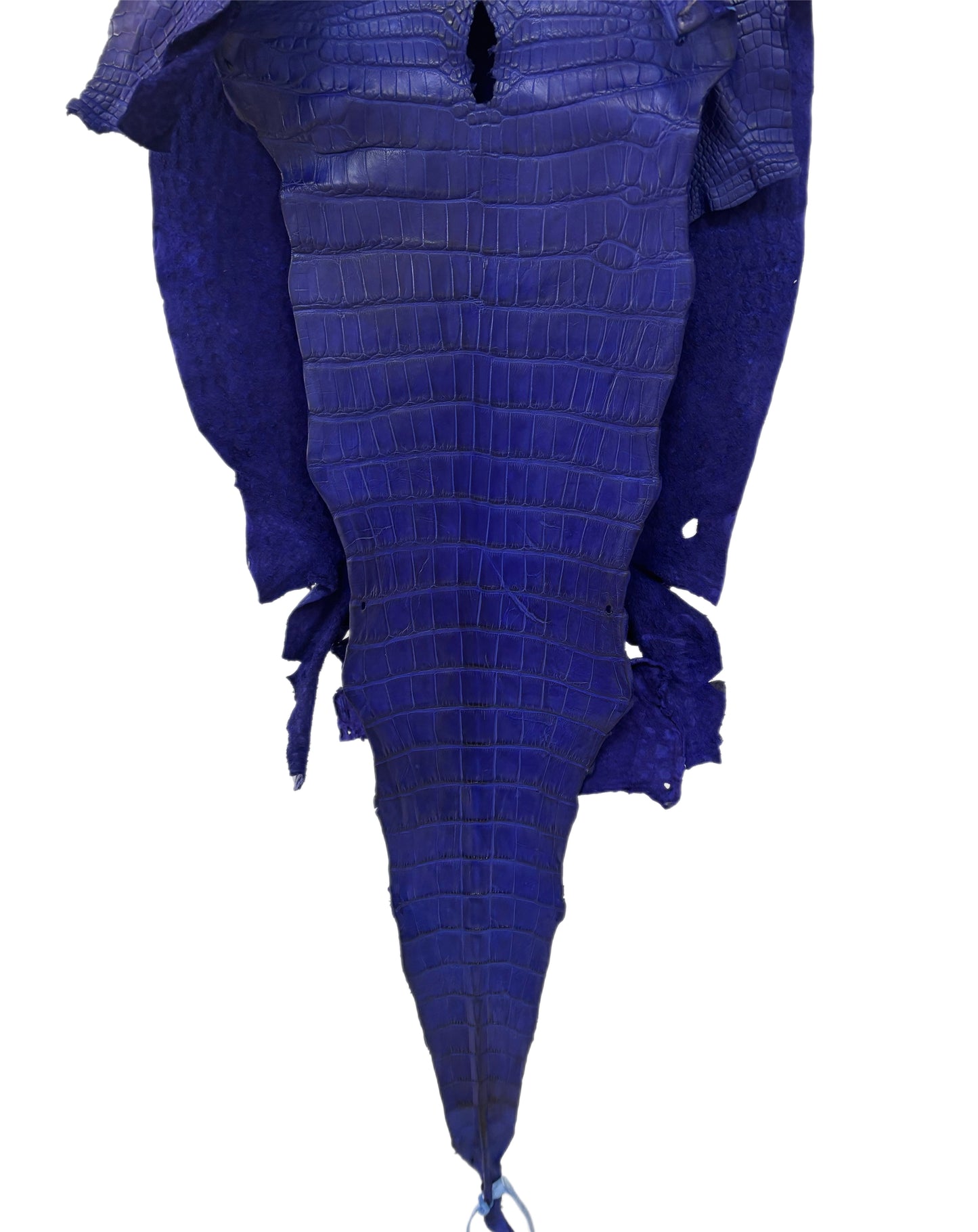 35 cm Grade 2/3 Cobalt Blue Matte Wild American Alligator Leather - Tag: LA23-0051967
