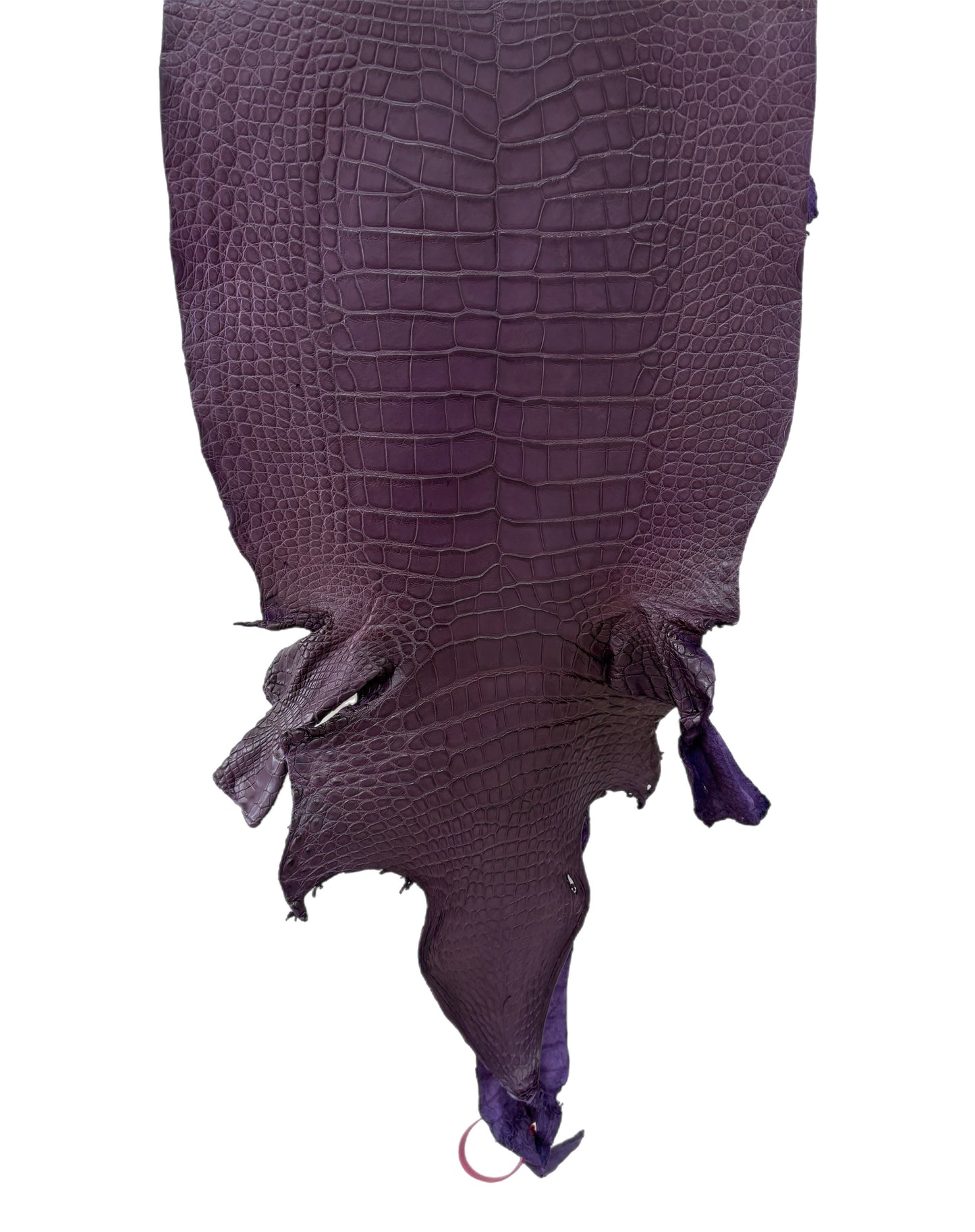 36 cm Grade 2/3 Aubergine Matte Wild American Alligator Leather - Tag: LA23-0027076