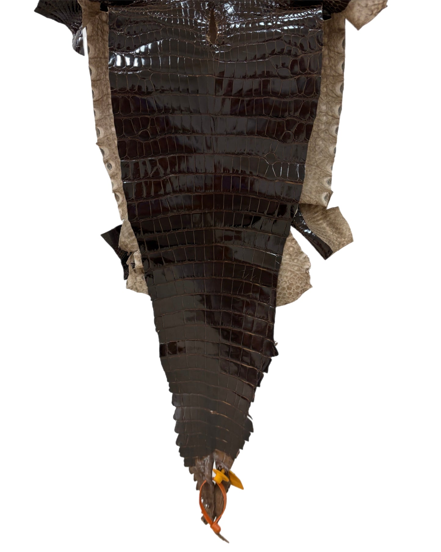 31 cm Grade 1 Sport Rust Brown Glazed Farm-Raised American Alligator Leather - Tag: GA14-0003106