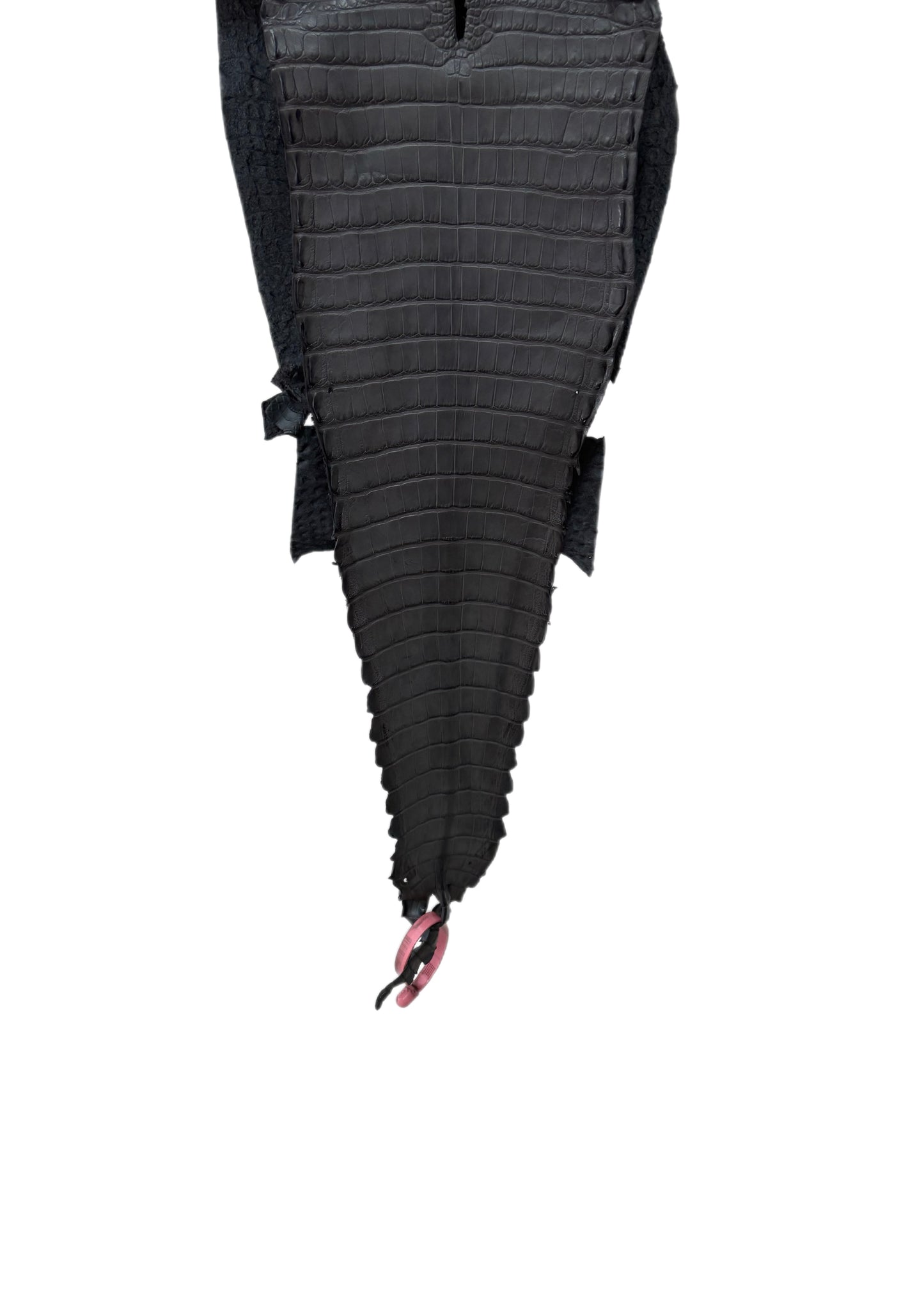 24 cm Grade 1/2 Serpentine Grey Matte Farm-Raised American Alligator Leather - Tag: FL21-0024711