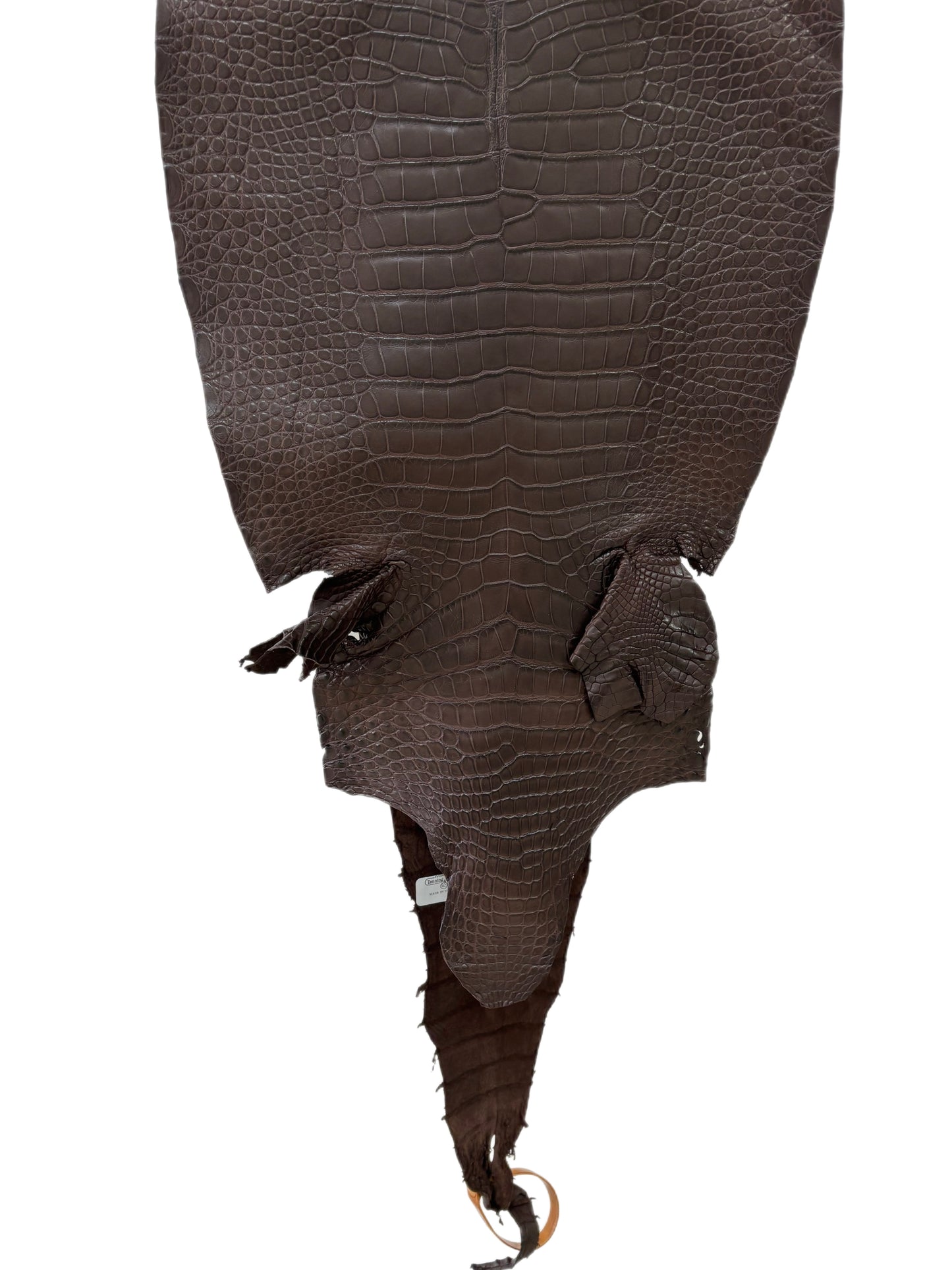 32 cm Grade 2/3 Chocolate Matte Farm-Raised American Alligator Leather - Tag: LA23-0531415