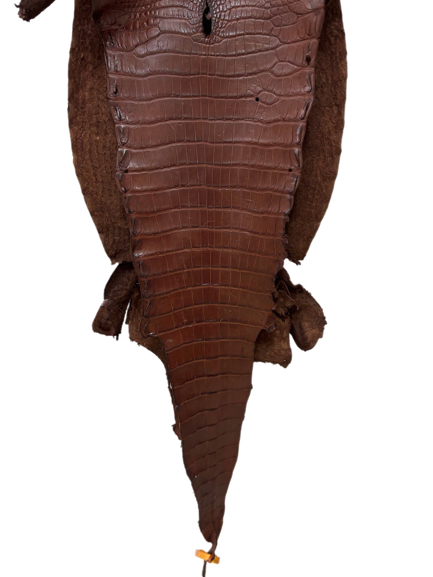 35 cm Grade 4/5 Chesnut Matte Wild American Alligator Leather - Tag: LA23-0050873
