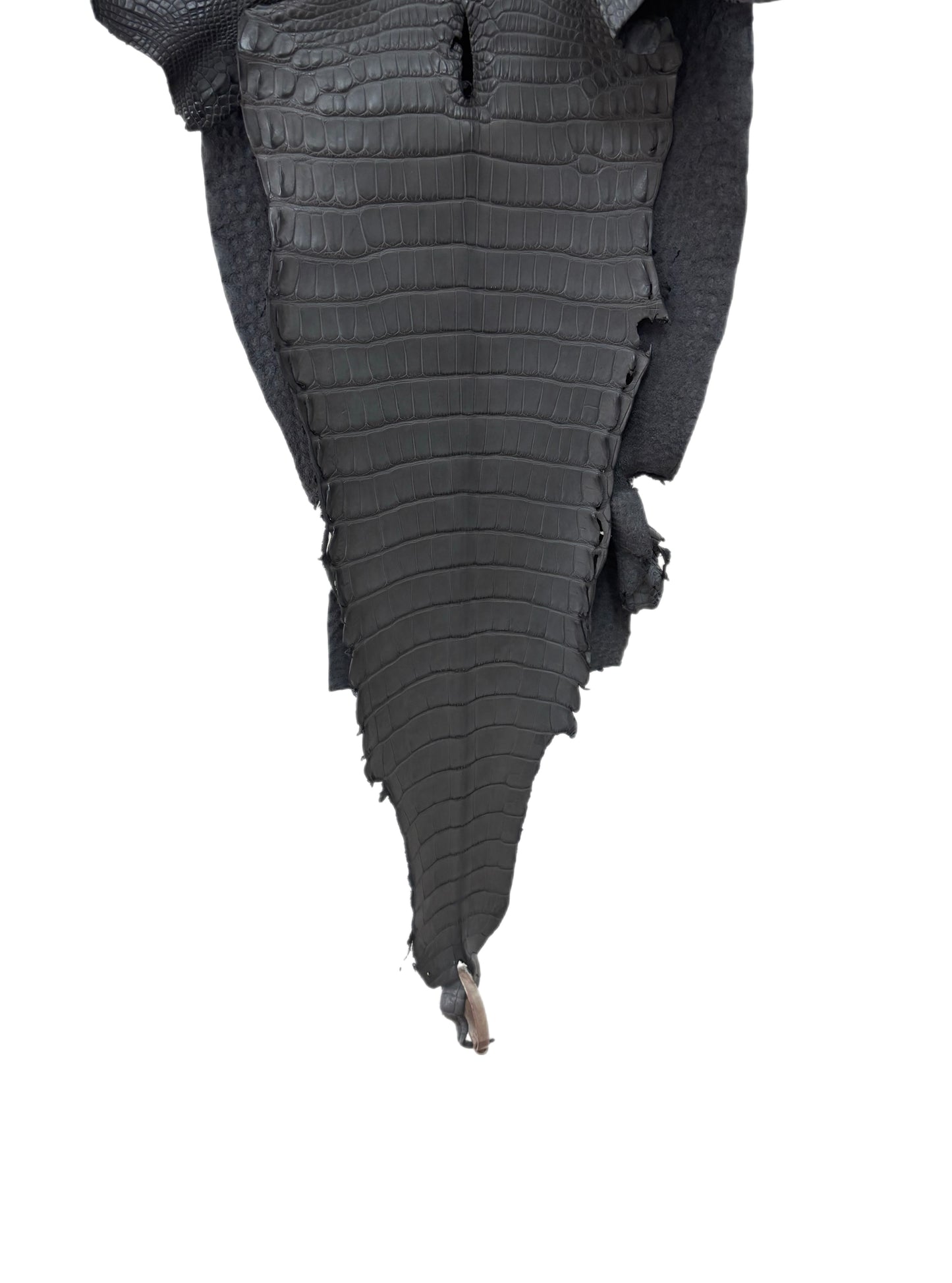 32 cm Grade 2/3 Serpentine Grey Matte Farm-Raised American Alligator Leather - Tag: LA17-0274670