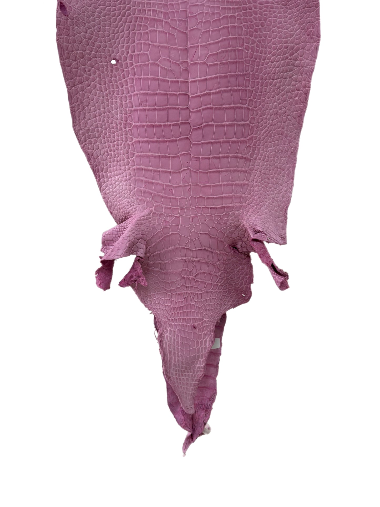 35 cm Grade 4/5 Cotton Candy Matte Wild American Alligator Leather - Tag: LA23-0038906