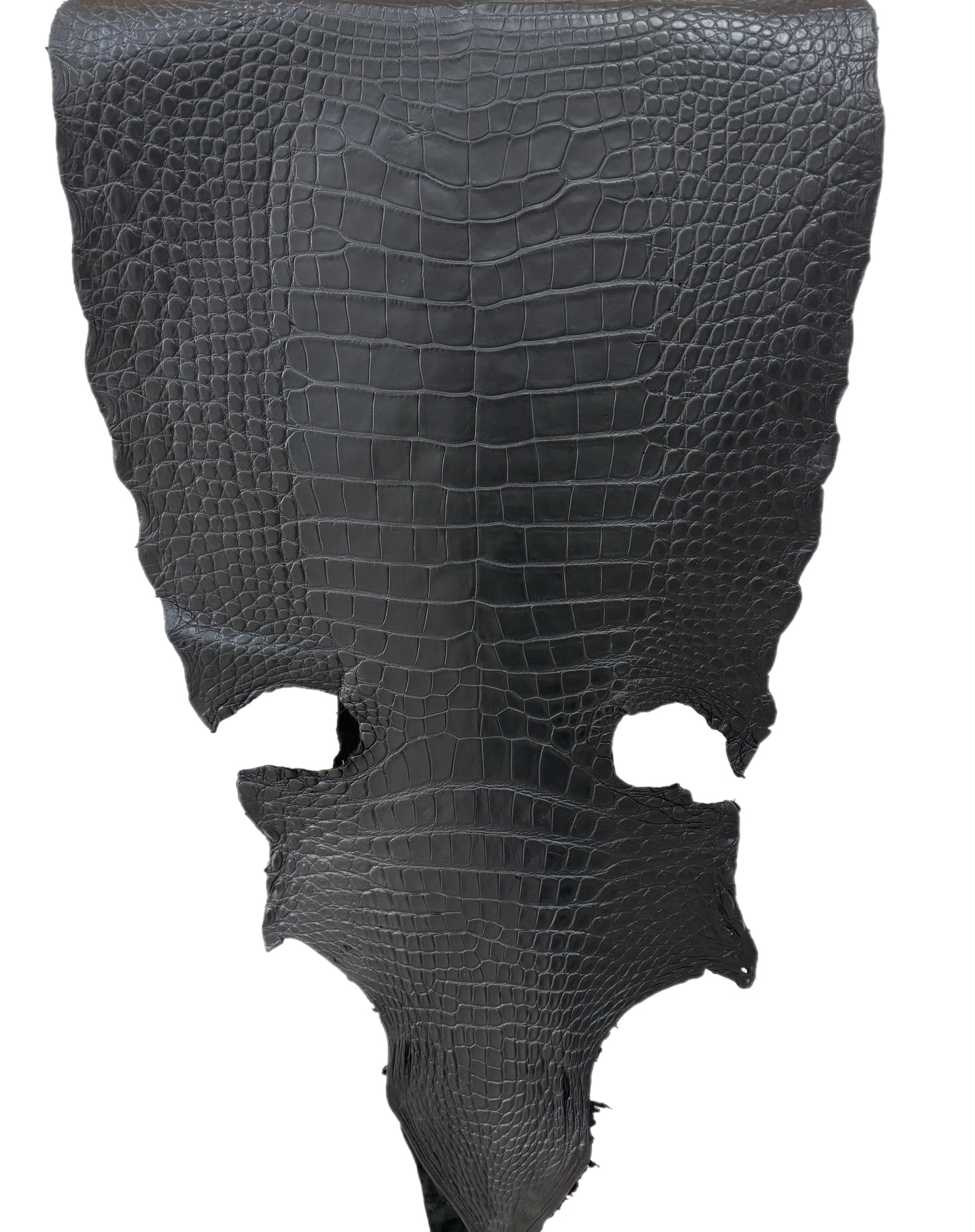 52 cm Grade 3/4 Black Matte Wild American Alligator Leather - Tag: LA22-0003872