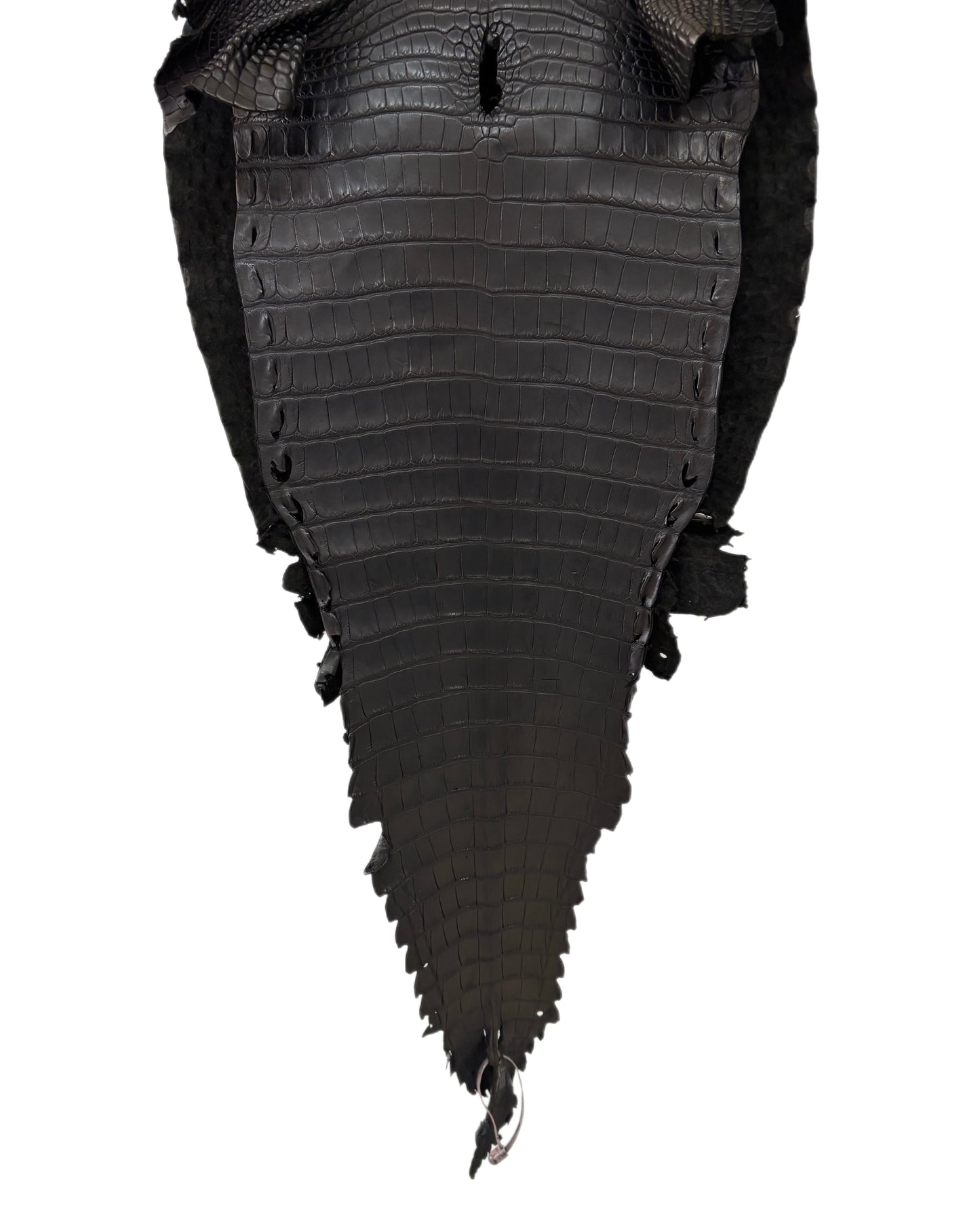 39 cm Grade 1/2 Black Matte Farm-Raised American Alligator Leather - Tag: FL18-0034845