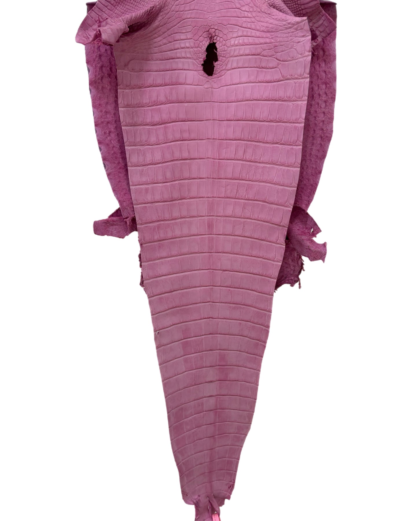 32 cm Grade 2/3 Cotton Candy Matte Farm-Raised American Alligator Leather - Tag: FL21-0023965
