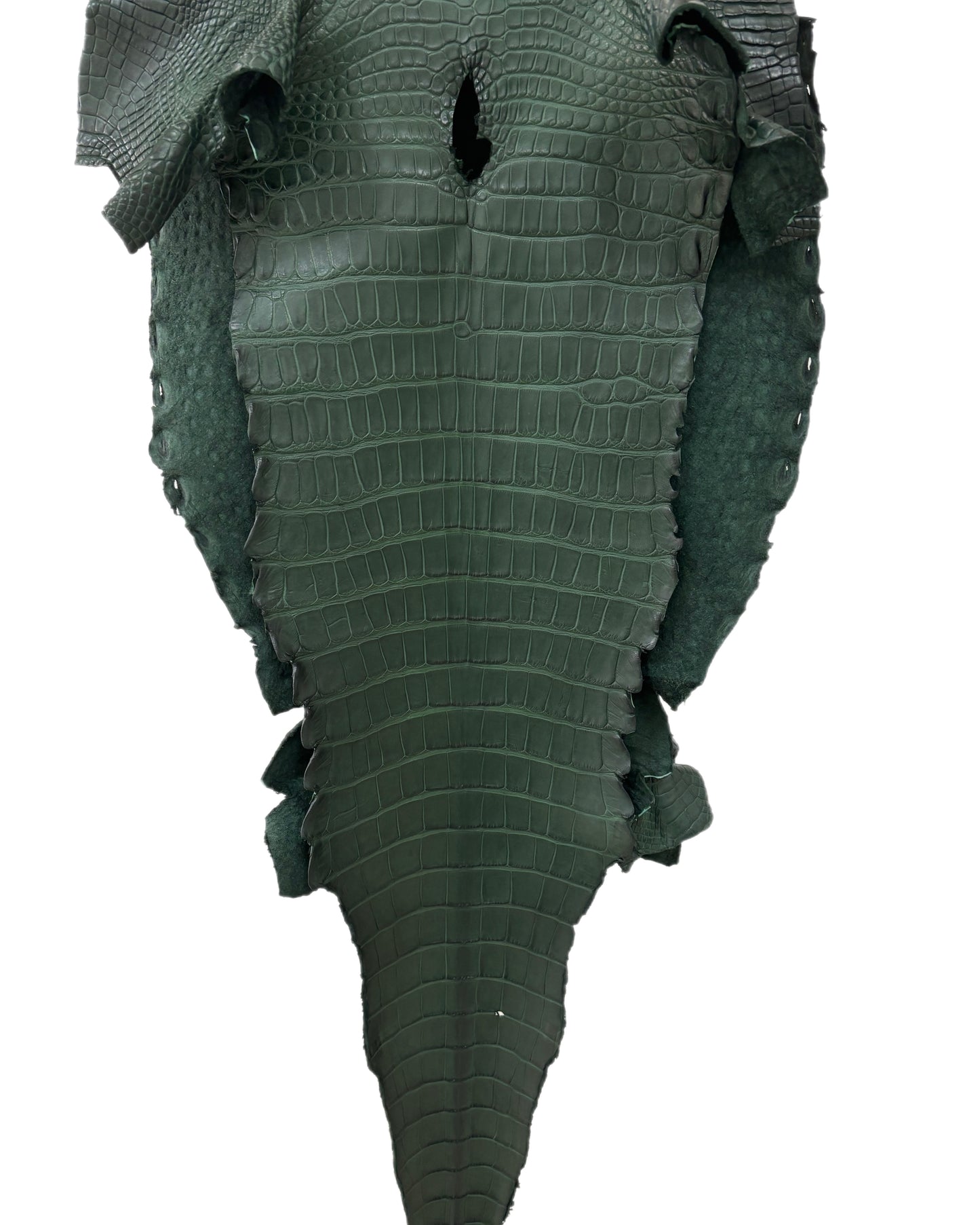 38 cm Grade 1/2 Forest Green Matte Farm-Raised American Alligator Leather - Tag: LA17-0274462
