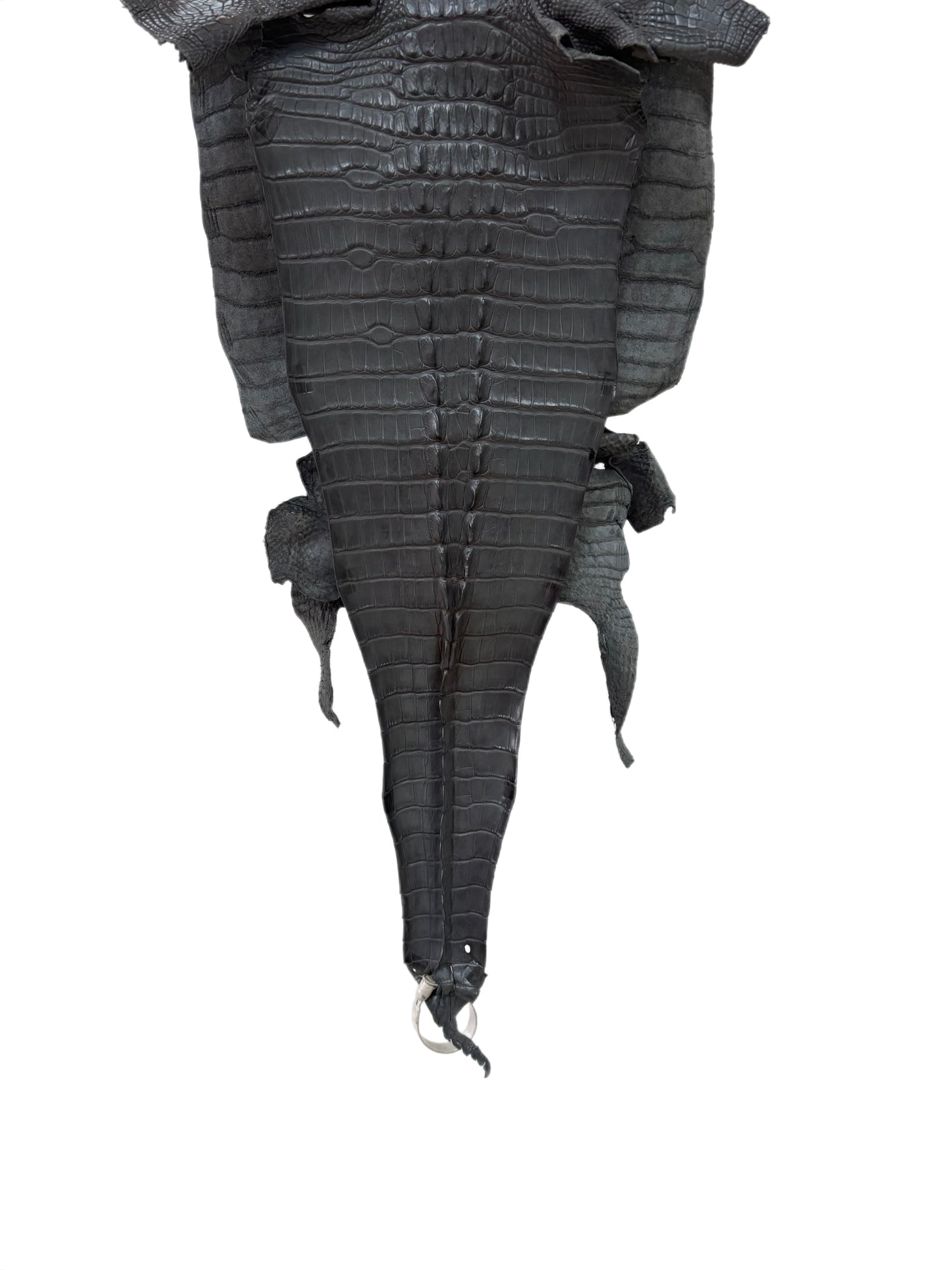 33 cm Grade 2/3 Serpentine Grey Matte Farm-Raised American Alligator Leather - Tag: LA23-0377031