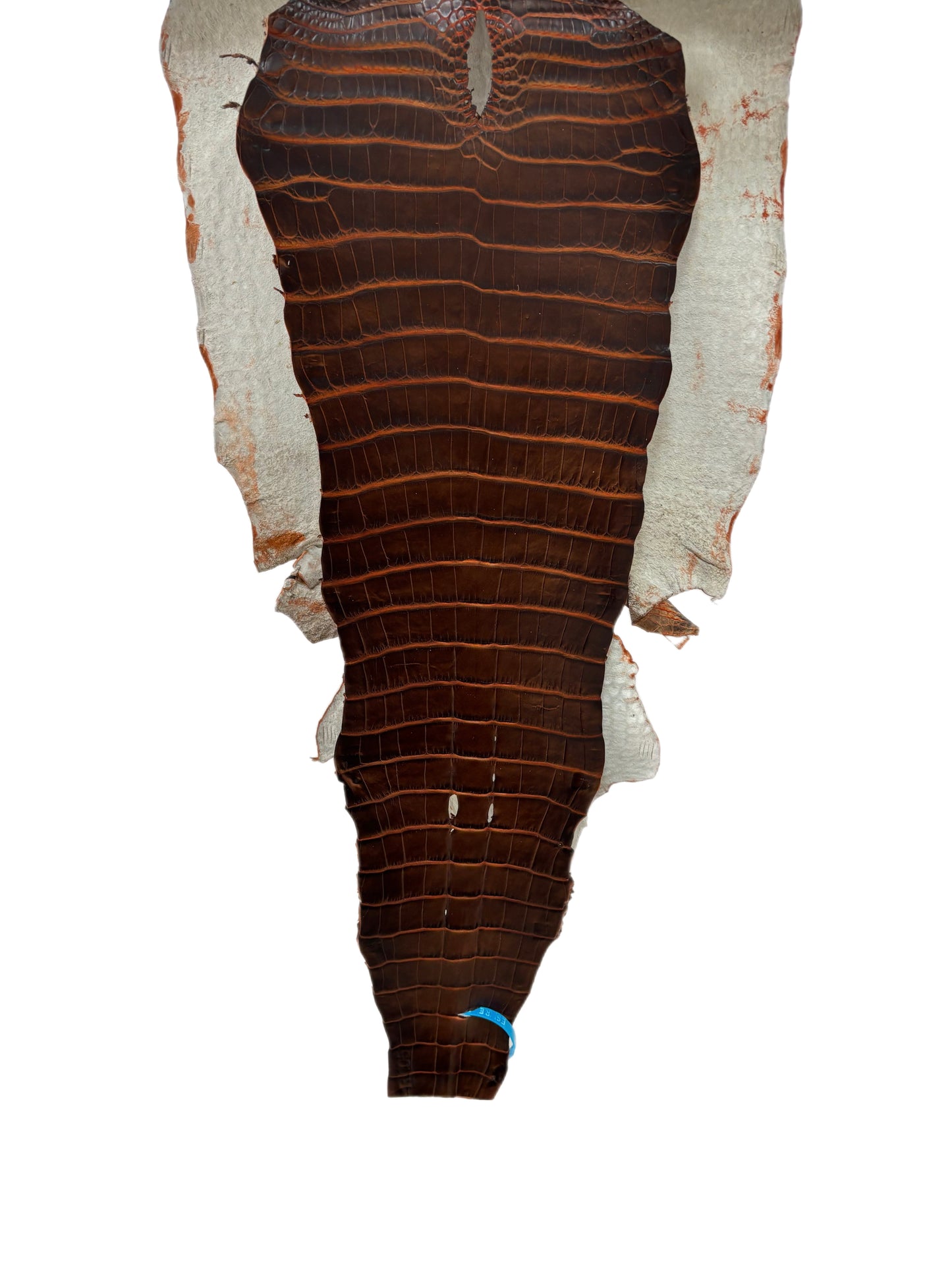 38 cm Grade 1/2 Sienna Matte Wild American Alligator Leather - Tag: ESRE-0050819