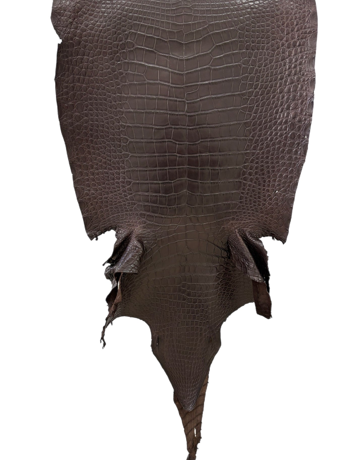 45 cm Grade 2/3 Kralle Brown Matte Wild American Alligator Leather - Tag: LA23-0027776