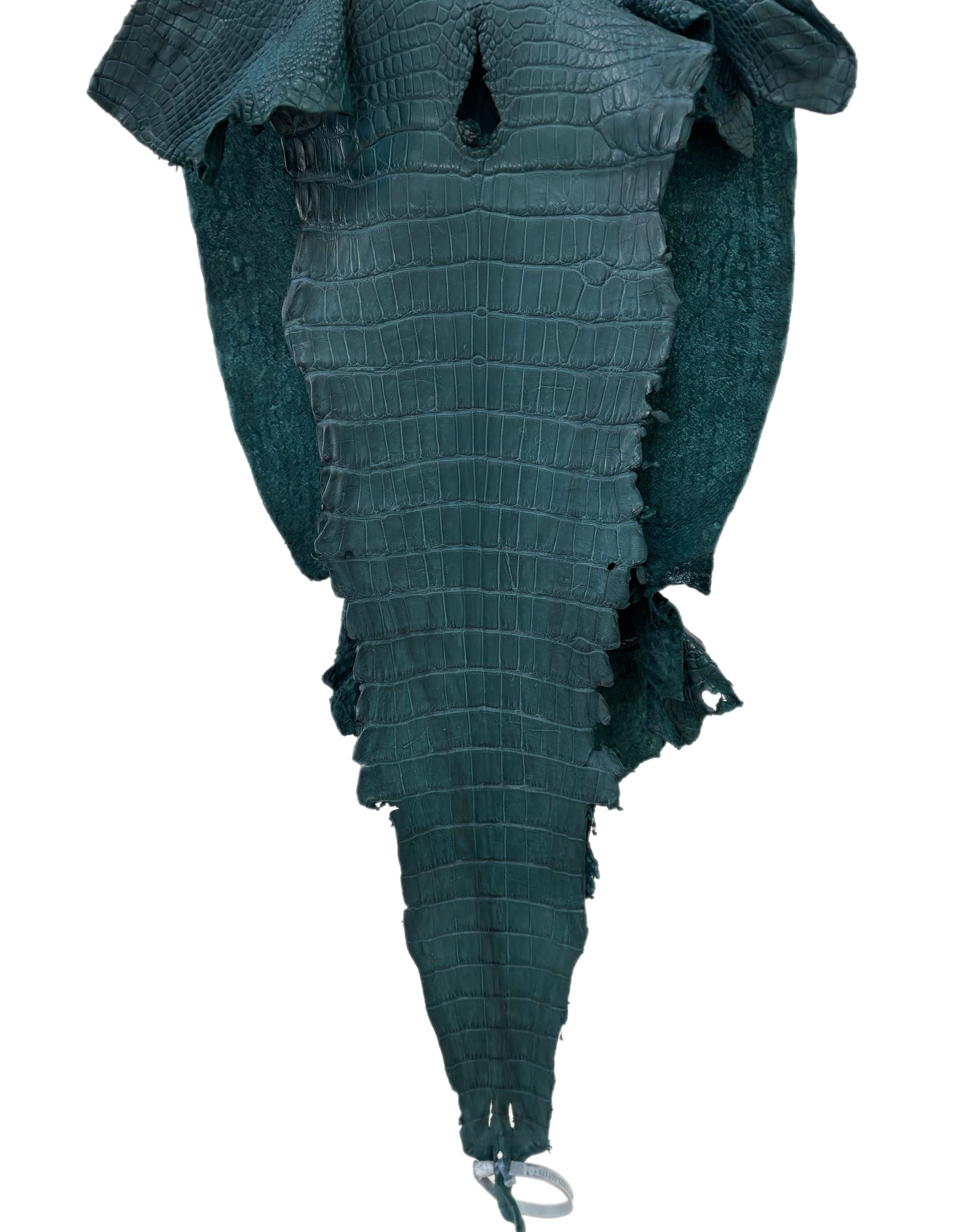 35 cm Grade 2/3 Teal Matte Wild American Alligator Leather - Tag: LA23-0007179