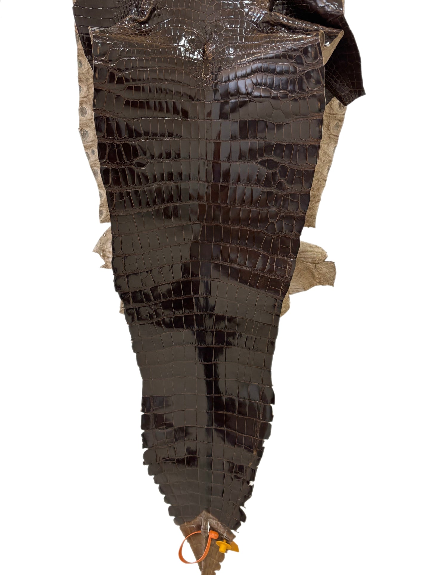 36 cm Grade 1/2 Sport Rust Brown Glazed Farm-Raised American Alligator Leather - Tag: GA14-0021390