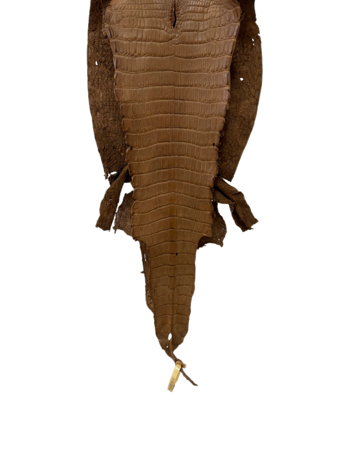 28 cm Grade 3/4 Cammello Matte Wild American Alligator Leather - Tag: LA23-0051989