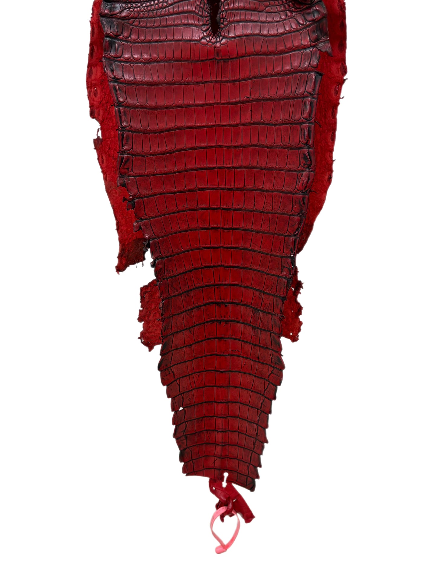 27 cm Grade 1/2 Candy Apple Red Antique Farm-raised American Alligator Leather - Tag: FL21-0024057