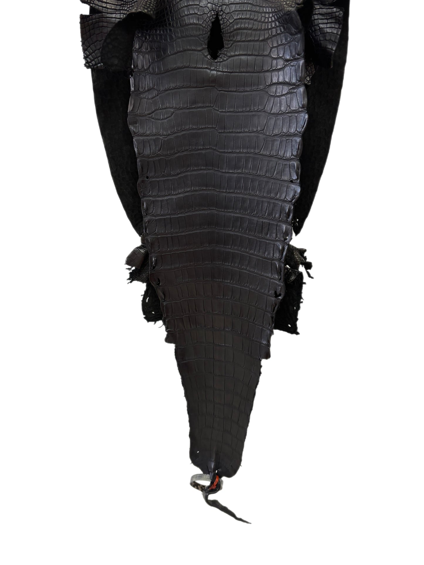 29 cm Grade 2/3 Black Matte Farm-Raised American Alligator Leather - Tag: LA23-0531048