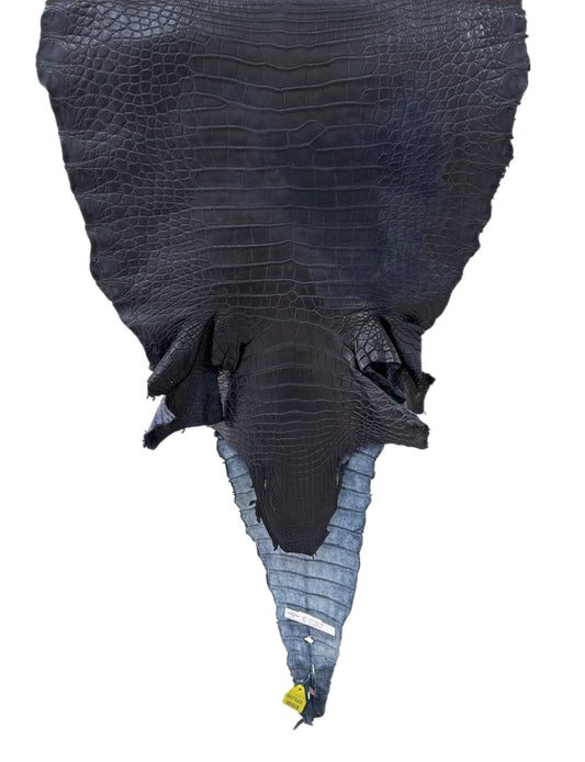 55 cm Grade 4/5 Navy Blue Desert Farm Raised American Alligator Leather - Tag: FL14-0004024