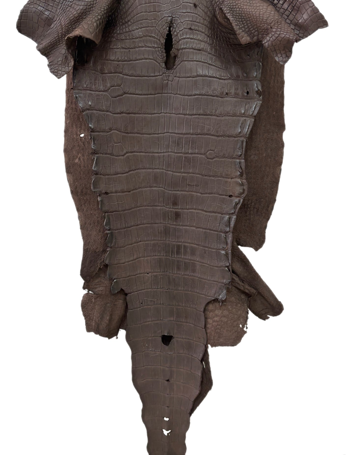 45 cm Grade 4/5 Dark Chocolate Matte Wild American Alligator Leather - Tag: LA23-0007533