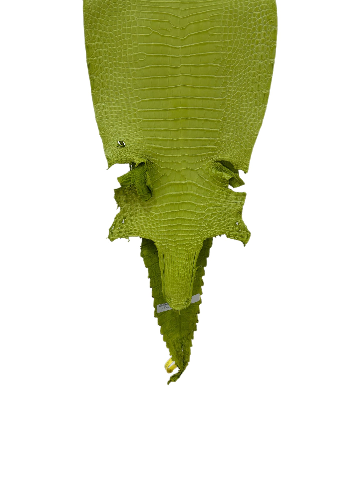 28 cm Grade 2/3 Chartreuse Matte Farm-Raised American Alligator Leather - Tag: FL22-0030374