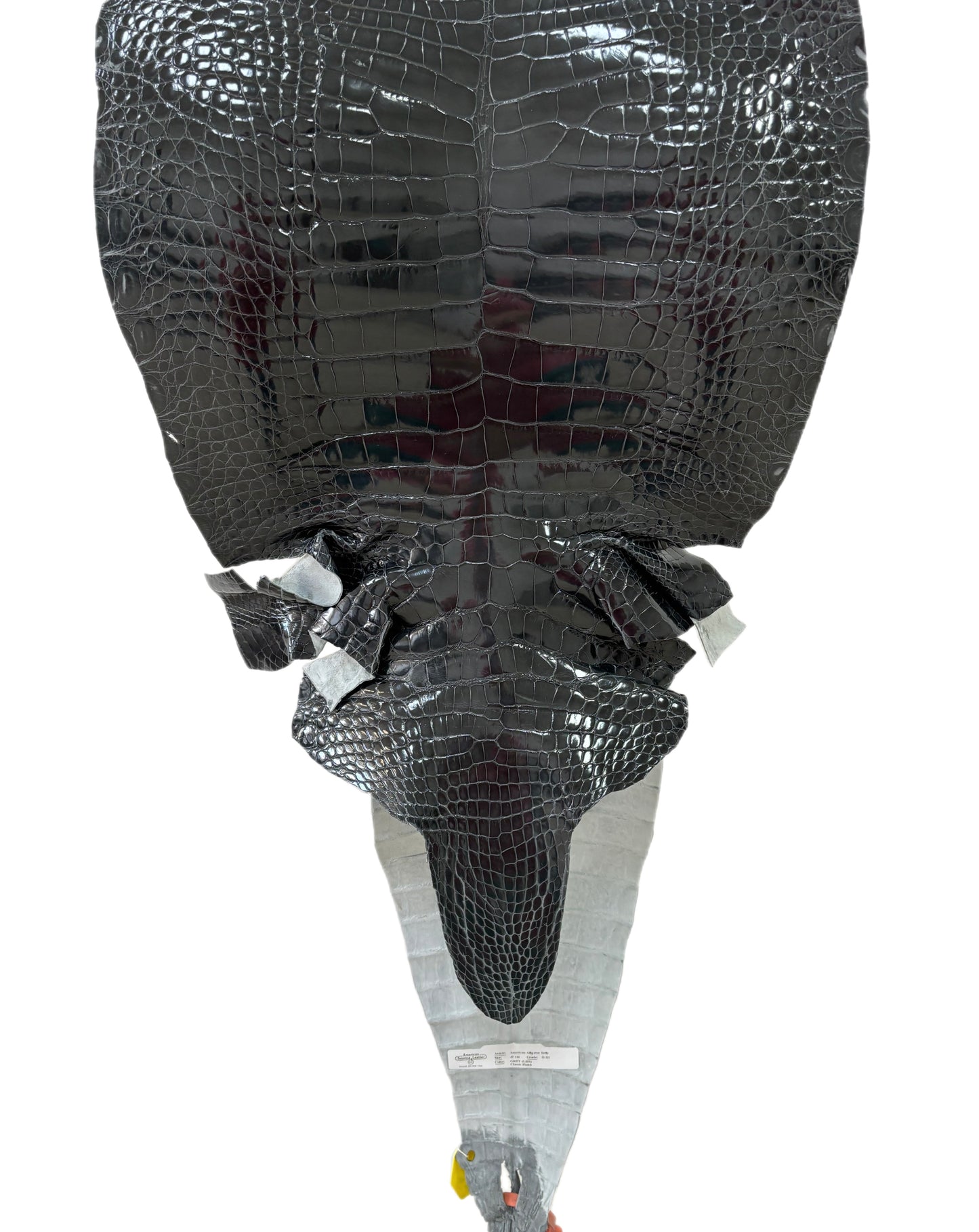 41 cm Grade 2/3 Grey Glazed Farm-Raised American Alligator Leather - Tag: GA14-0020744