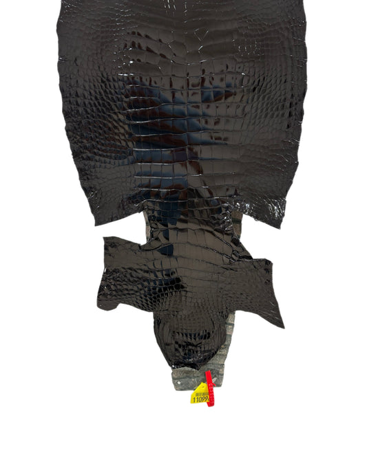 32 cm Grade 1/2 Black Glazed Wild American Alligator Leather - Tag: ITCC-0539885