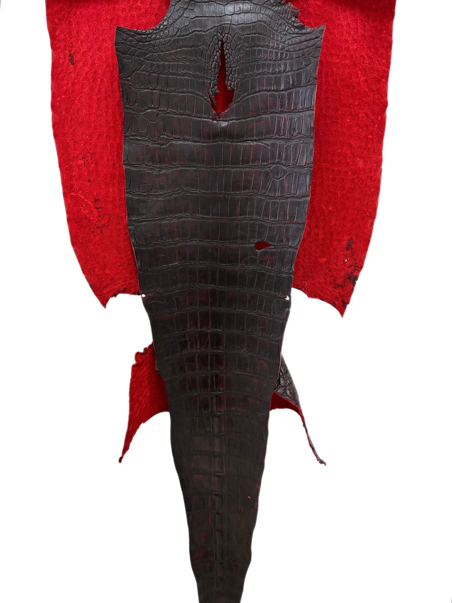 47 cm Grade 3/4 Black Cherry Matte Wild American Alligator Leather - Tag: LA24-0024354