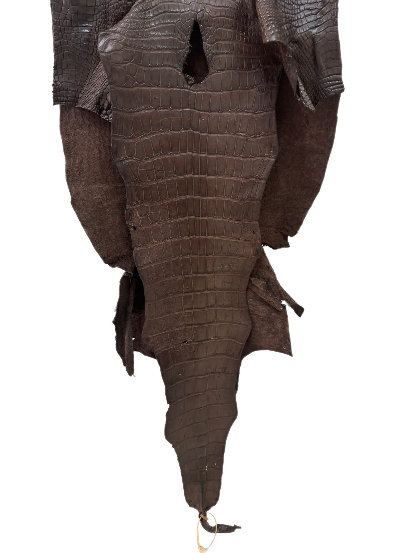 45 cm Grade 3/4 Chocolate Matte Wild American Alligator Leather - Tag: LA23-0030746