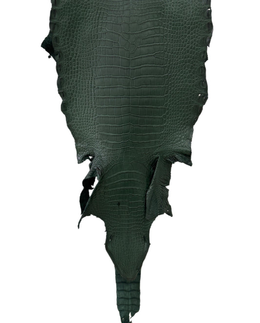 32 cm Grade 1/2 Forest Green Matte Wild American Alligator Leather - Tag: LA23-0024156