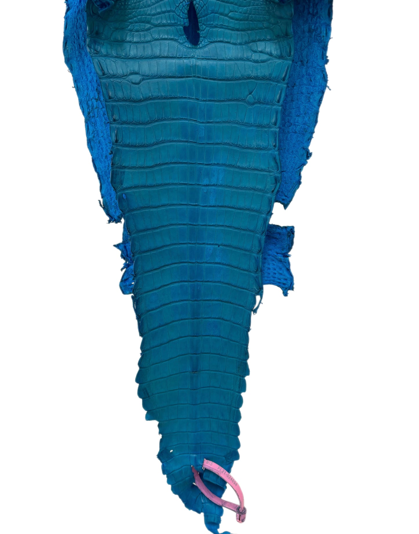23 cm Grade 4/5 Ultramarine Matte Farm-Raised American Alligator Leather - Tag: FL21-0024694
