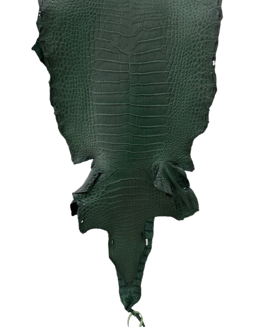 34 cm Grade 2/3 Forest Green Matte Wild American Alligator Leather - Tag: LA23-0049427