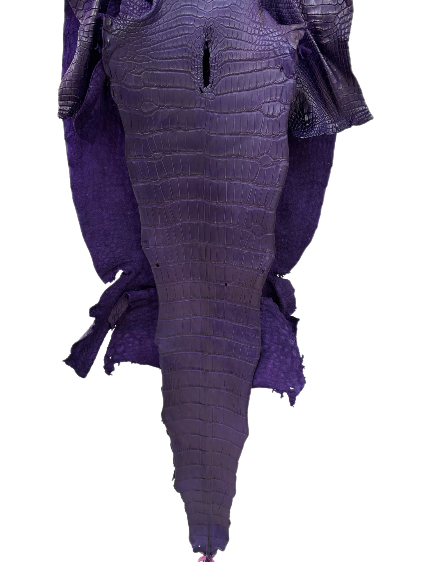 43 cm Grade 2/3 Violet Primavera Matte Wild American Alligator Leather - Tag: LA23-0022196