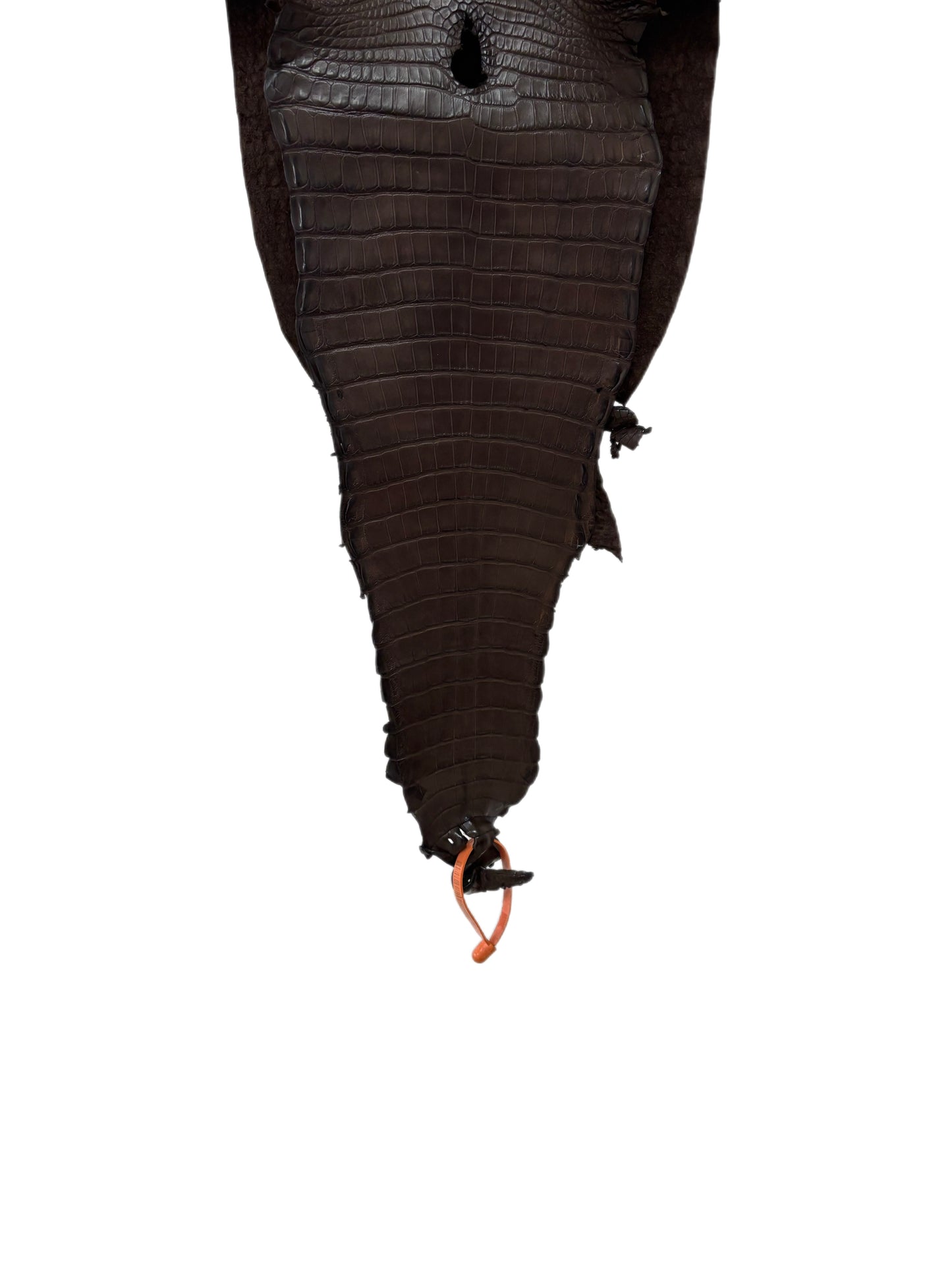 26 cm Grade 1/2 Chocolate Matte Farm-Raised American Alligator Leather - Tag: FL21-0024740