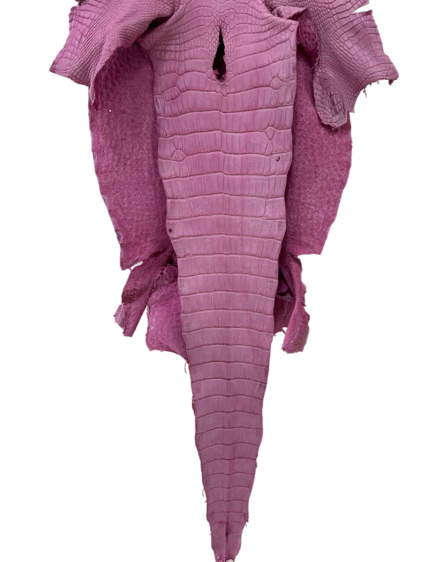 37 cm Grade 2/3 Cotton Candy Matte Wild American Alligator Leather - Tag: LA23-0019945