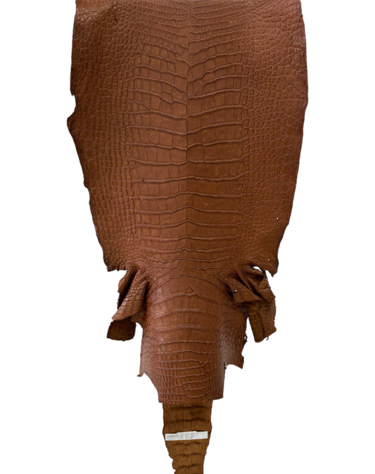 43 cm Grade 4/5 Cigar Matte Wild American Alligator Leather - Tag: LA22-0016754