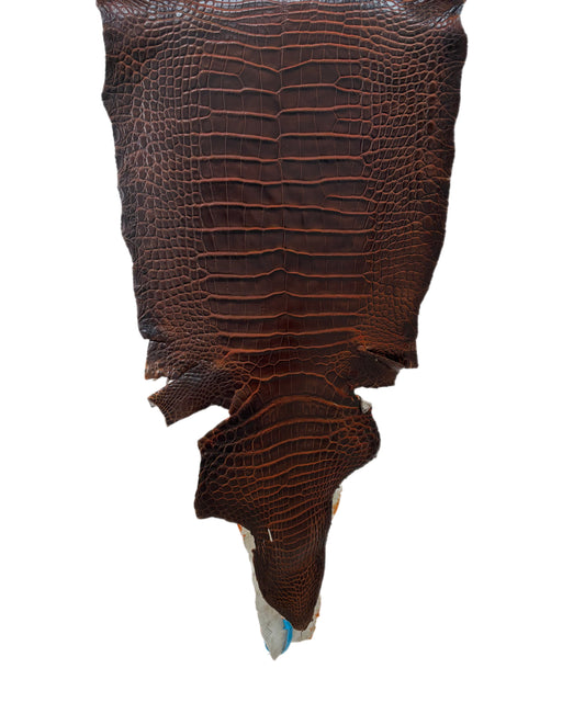 35 cm Grade 1/2 Sienna Matte Wild American Alligator Leather - Tag: ESRE-0033737