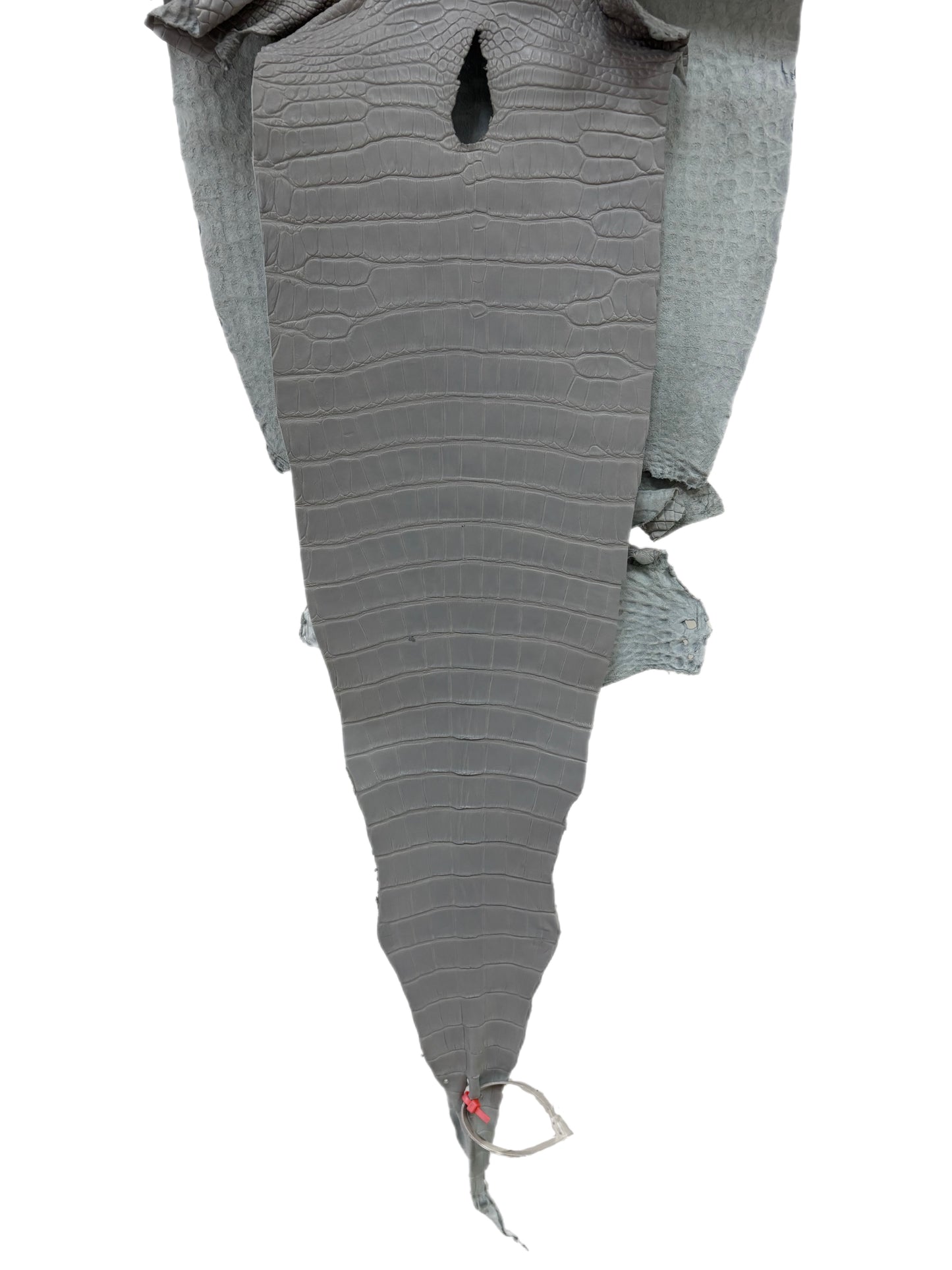 33 cm Grade 2/3 Glacier Matte Farm-Raised American Alligator Leather - Tag: LA23-0531265