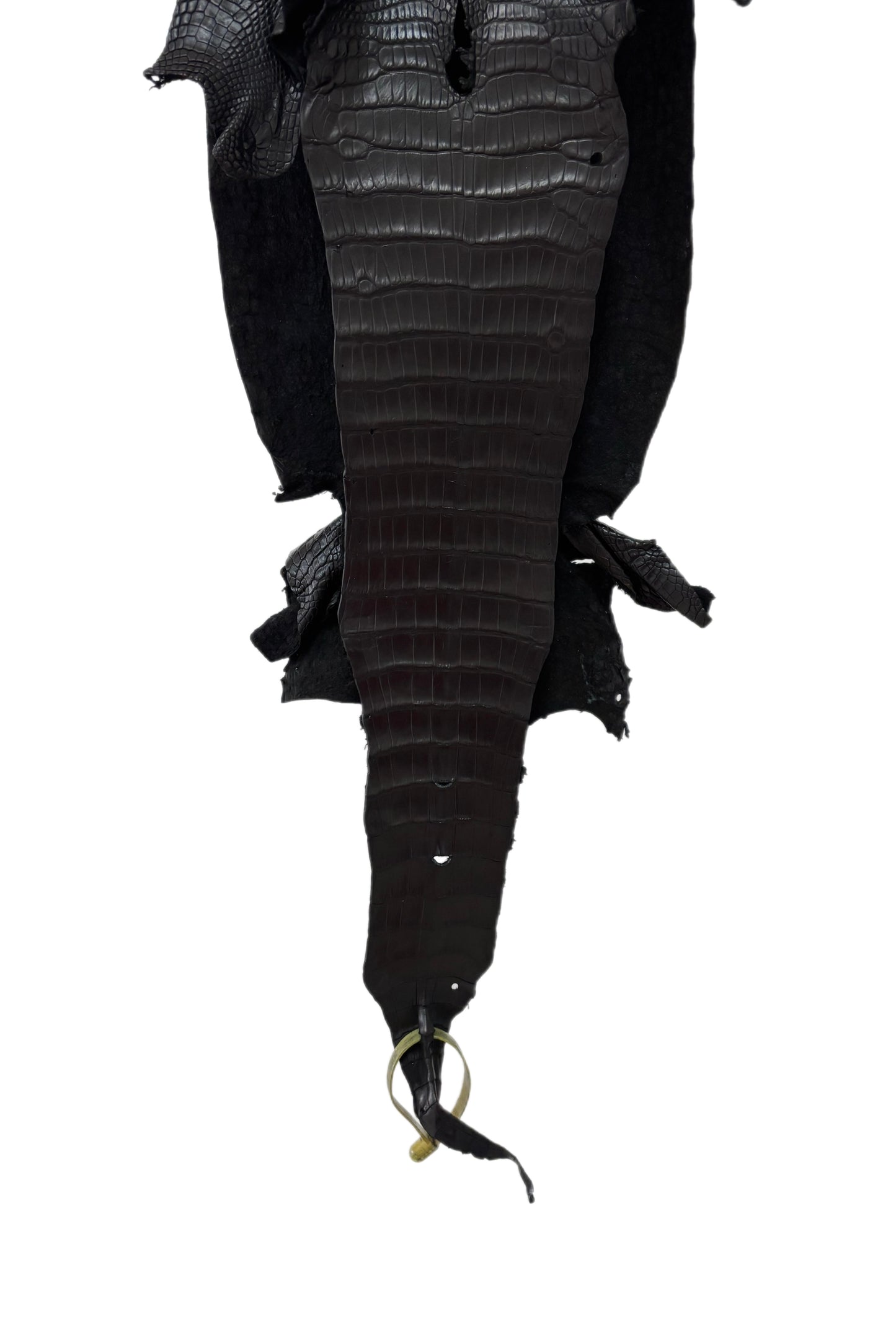 23 cm Grade 1/2 Black Matte Wild American Alligator Leather - Tag: LA11-0030946